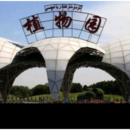 乌鲁木齐北京路植物园真空燃气锅炉项目